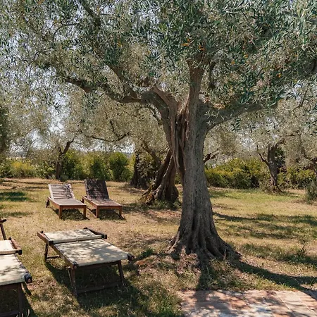 Mit Mezzanin Und Schwimmbad- In Einem In Den Huegeln By Interhome Apartment