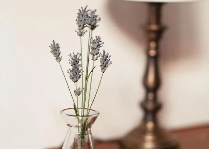 Apartment Mit Mezzanin Und Schwimmbad- In Einem In Den Huegeln By Interhome