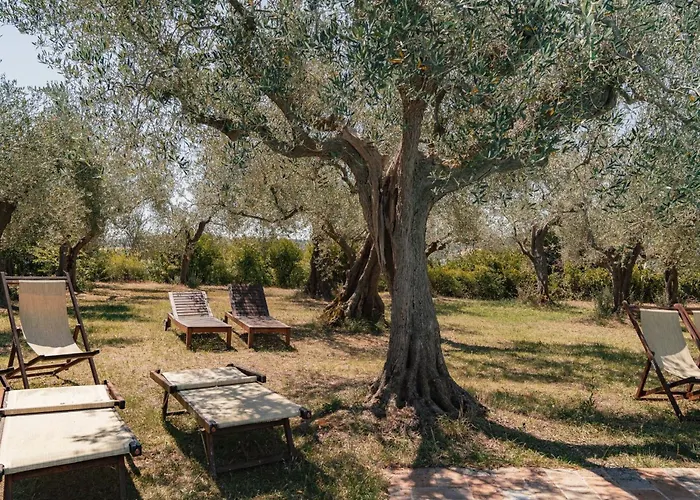 Mit Mezzanin Und Schwimmbad- In Einem In Den Huegeln By Interhome Appartement